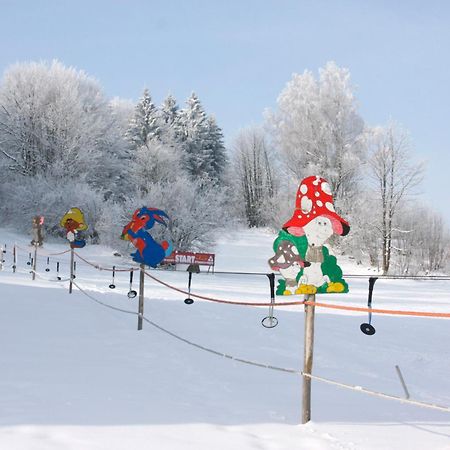Ferienwohnungen-Bendler Freyung Buitenkant foto